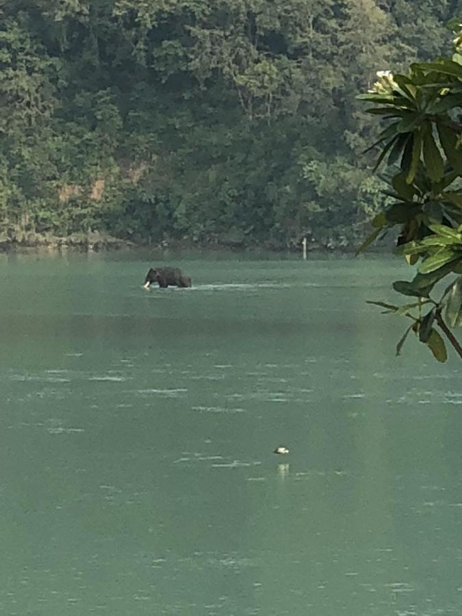 Ganga Forest View Rishikesh Bagian luar foto